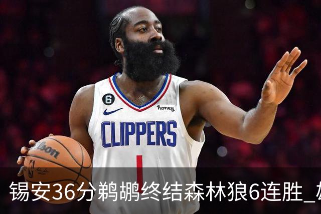 锡安36分鹈鹕终结森林狼6连胜 雄鹿险胜公牛
